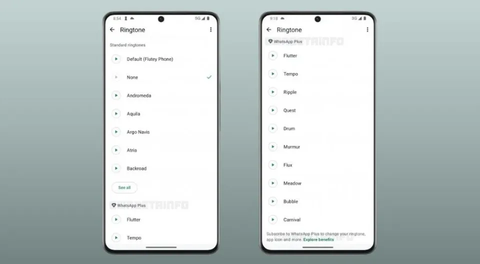 funzionalità whatsapp plus notifiche e suonerie