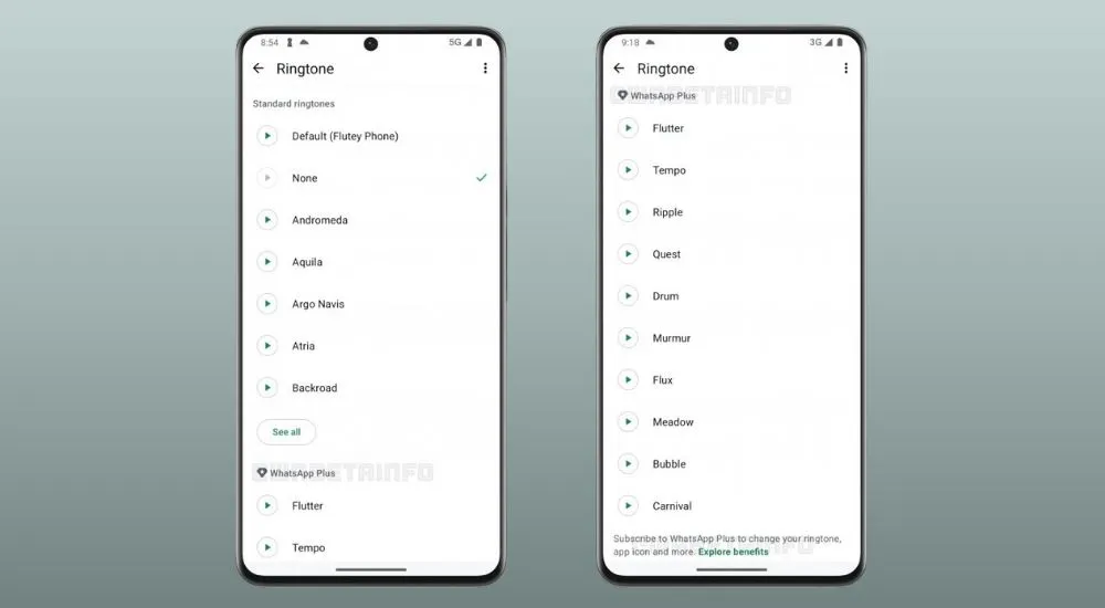 funzionalità whatsapp plus notifiche e suonerie